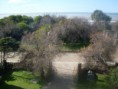 /album/fotogaleria-vista-al-mar/fotos-varias-251-jpg/